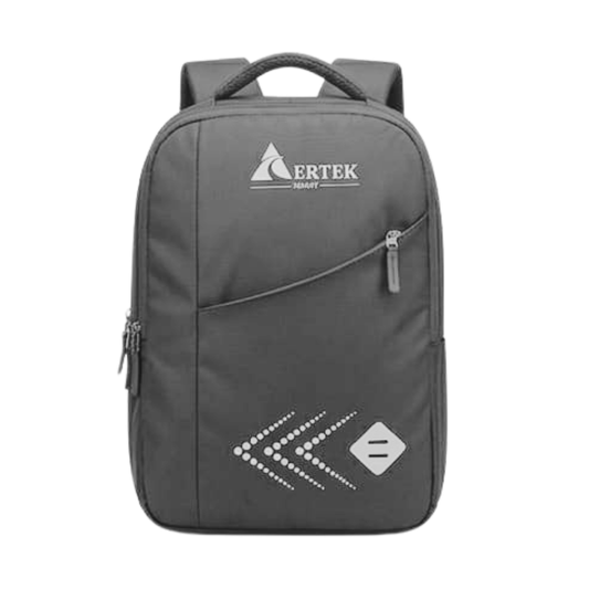 Aertek Froststyle Laptop, Office & Travel Backpack- Gray
