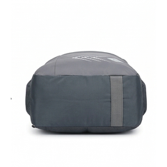 Aertek Froststyle Laptop, Office & Travel Backpack- Gray